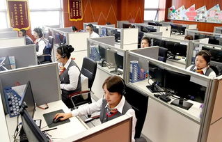 政企民共商，服務(wù)再升級(jí)——市區(qū)政務(wù)服務(wù)局召開(kāi)企業(yè)咨詢(xún)服務(wù)專(zhuān)題調(diào)研會(huì)